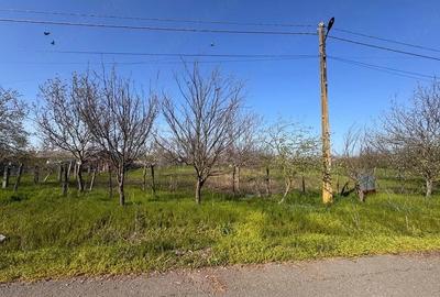 Teren de 1534 mp, în Tomulești - 10