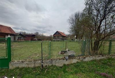 Teren de 9370 mp, în Baia de Criș - 10