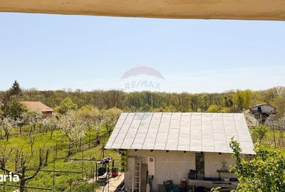 Casă cu 7 camere cu Teren 1592 Mp în Periș - 2
