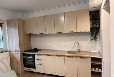 Apartament cu 2 camere semidecomandat în Drumul Taberei - 11