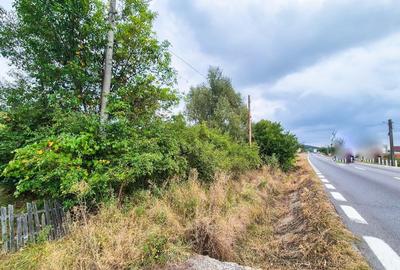 Teren 1,4 hectare Draganu Arges - 6