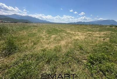 Teren Intravilan Rasnov 7.500 mp - 9