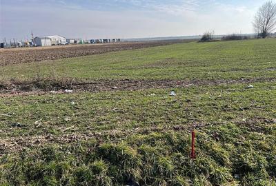 Teren Construcții intravilan de 5985 mp, în Nojorid - 9