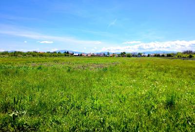 Teren intravilan de 5000 mp, în Hărman - 2