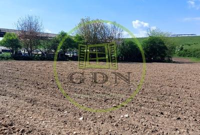 Teren  oportunitate investitie  19.000mp, zona Aeroport, - 1