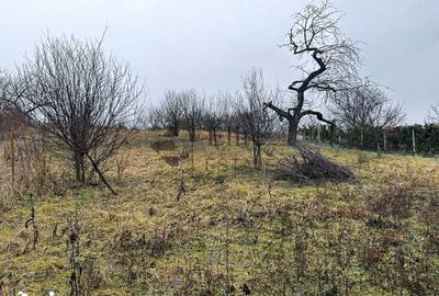 Teren de 1765 mp, în Orașul Nou