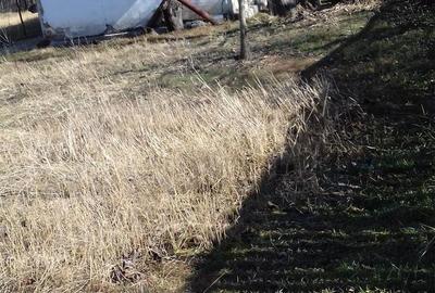 Casă cu 3 camere în Păduroiu din Vale - 7