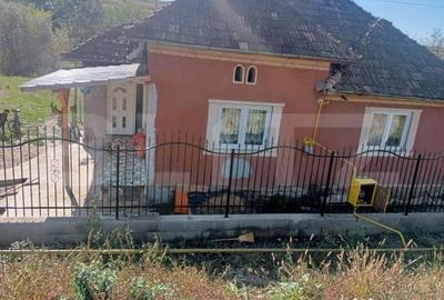Casă cu 2 camere cu Teren 1500 Mp în Central - 3