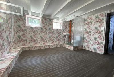 Casă cu 6 camere cu Teren 99 Mp în Știrbei Vodă - 18