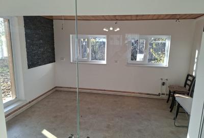 Casa RATESTI/Patuleni- Arges, renovata/finisaje moderne, teren 1055mp. - 8