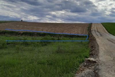 Spațiu comercial, în Sălicea - 1