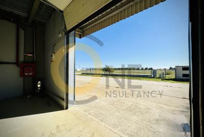Spațiu industrial, de 840 mp, în Balotești - 32