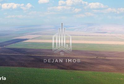 Spațiu comercial, în Moacșa - 5