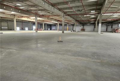 Spatiu Industrial - 4000 mp - Productie - Depozitare - Distributie - 1