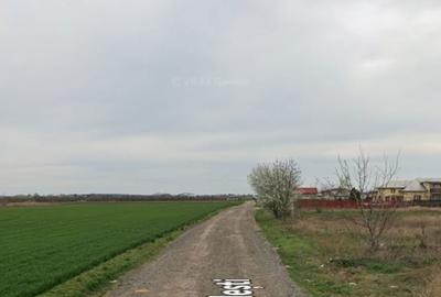 Spațiu comercial, în Pădurișu - 1