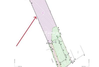 Teren Construcții intravilan de 1440 mp, în Sânpetru - 2