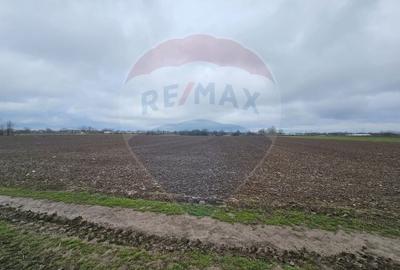 Teren Construcții intravilan de 5000 mp, în Adunații-Copăceni - 2