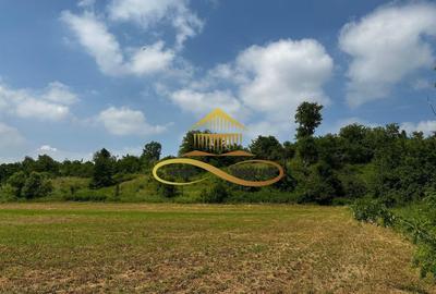 Casa batraneasca cu 2ha de teren de vanzare in sat Balaia / Bacau - 9