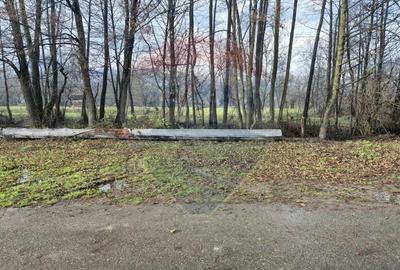 Casa / Vila cu 6 camere de vanzare - 1