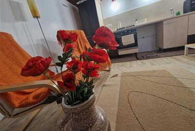 Armonie intre rustic si modern, complet renovat, zona Centrala, Brasov - 23