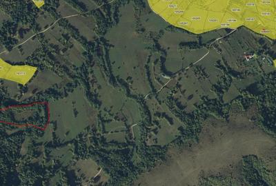 Teren ideal recreere/conectare cu natura/zona Fagaras/achitare in rate - 17