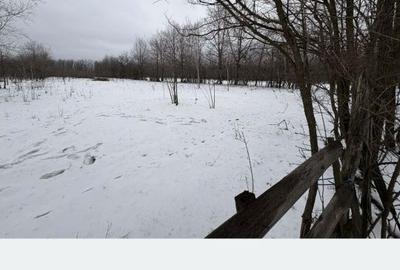 Teren de 5000 mp, în Polovragi - 2