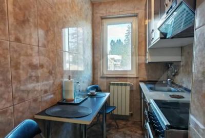 Apartament cu 2 camere decomandat, mobilat în Predeal - 9