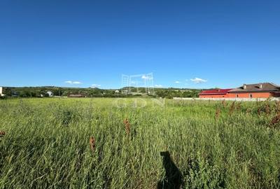 Teren intravilan parcelat de 10365mp, Șimnicu de Sus, sat Dutulesti - 1