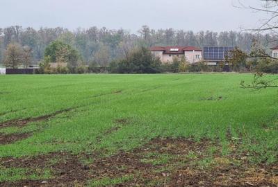 Teren de 3000 mp, în Brănești - 6