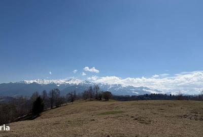 Spațiu comercial, în Peștera - 1