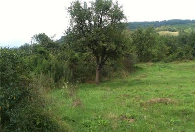 Teren de 14000 mp, în Central - 1