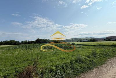 Teren intravilan de Vanzare in Magura Bacau - 7