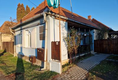 Vand in Gornesti casa cu 3 camere,dependinte, 1400 mp teren - 4