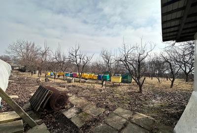 Spațiu industrial, în Dumești - 11