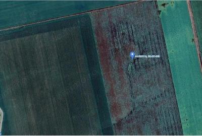 Teren extravilan Orbeasca, ID: R2836912 - 11