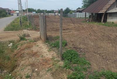 Casă în Fierbinții de Jos - 1