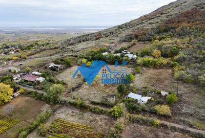 Teren intravilan NICULITEL, zona deosebita, 3044MP - 8