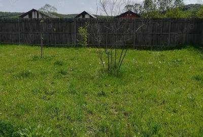 Teren de 600 mp, în Brăileni