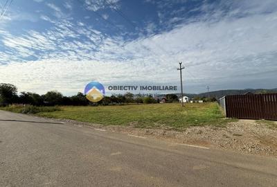 Teren de vanzare 1800 mp – Dumbrava Rosie - 3