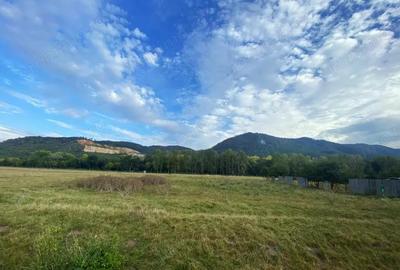 Teren intravilan 13 820 mp, cu acces pe un drum asfaltat, regim de inaltime P+6 - 1