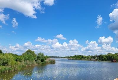 VANZARE TEREN INTRAVILAN CU VEDERE LA LAC - SNAGOV SE VINDE LOTIZAT SAU INTEGRAL - 2