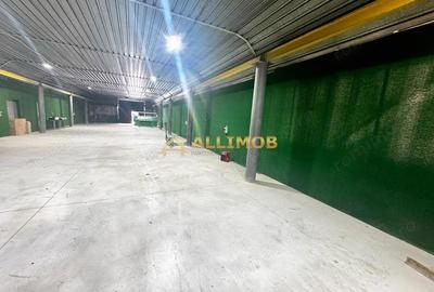 Spațiu comercial, de 500 mp, în Mihai Bravu - 1