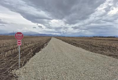 Teren de casa 500mp in Brasov - 6