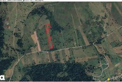 Teren de 9723 mp, în Gălăuțaș - 2