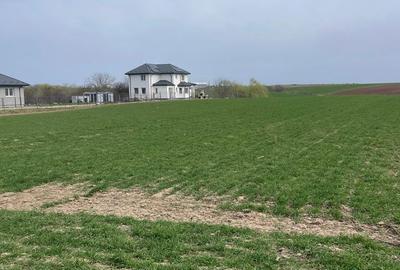 Teren de 377 mp, în Adunații-Copăceni