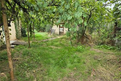 RECO IMOBILIARE CASA BATRANEASCA TINCA - 25