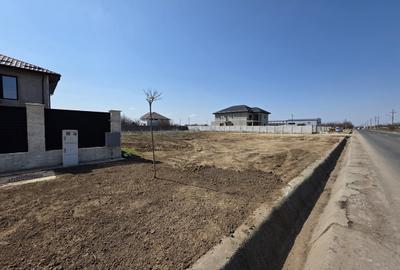 Teren în Cernica - 10