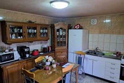 Casa mare cu 2 spatii comerciale, in Faget - 1