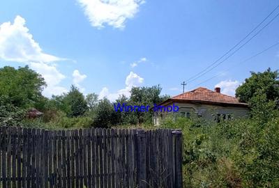 Casă cu 2 camere cu Teren 4263 Mp în Uda - 2