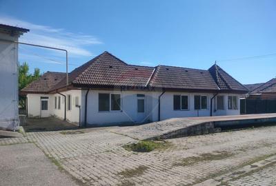 Spa?iu industrial de vanzare in Sangeorgiu de Padure... - 12